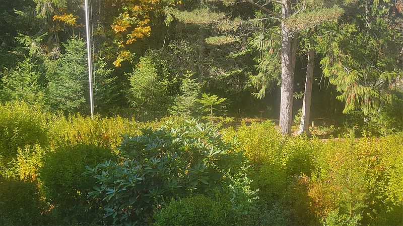 5th image of 4245 Rose Valley Road