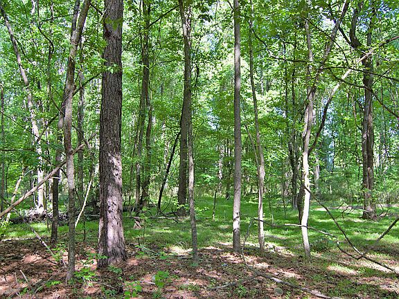 4th image of 5301 Panther Creek Dr Lot 1