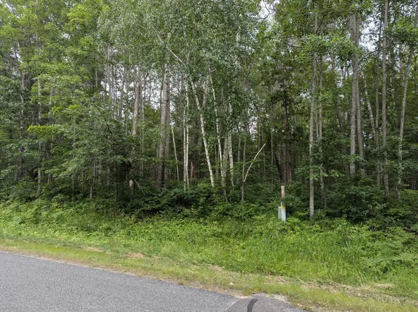 LOT 3 Winter Trl, Pequot Lakes, MN 56472