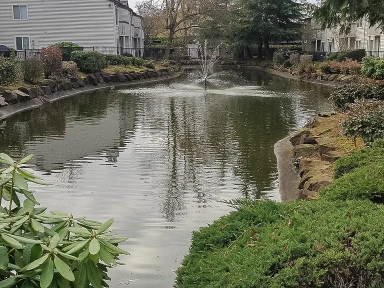 Kent Meadows — Photo 12