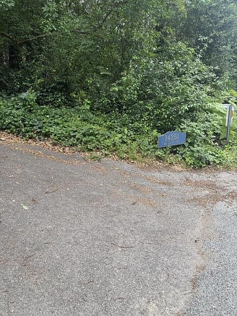 1st image of Big Basin Way