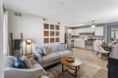 Spacious Living Room - Destinations Pebble 55+ Apartment Homes
