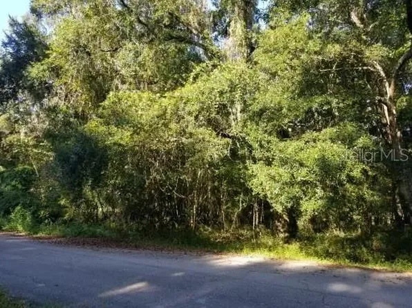 SE 45th Ct Lot 16, Trenton, FL 32693