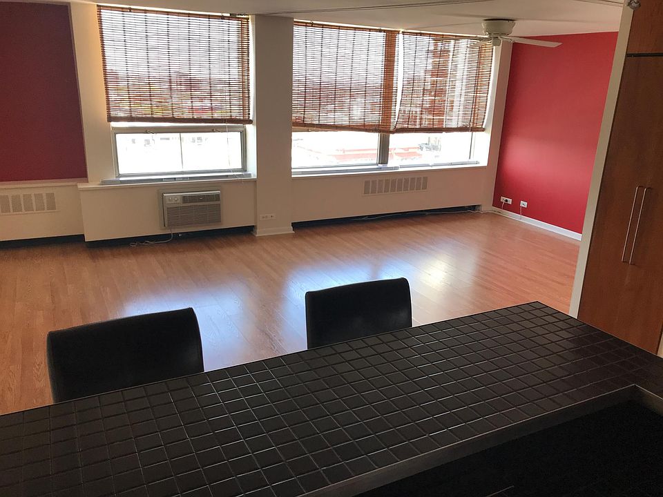 1st image of 1455 N Sandburg Ter APT 1503