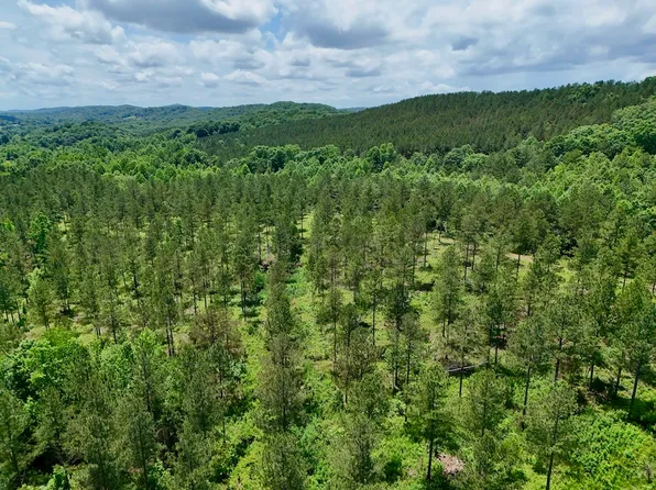 County Road 214 Lot Wp001, Niota, TN 37826