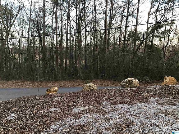 3rd image of 101 Wilson Glen Dr