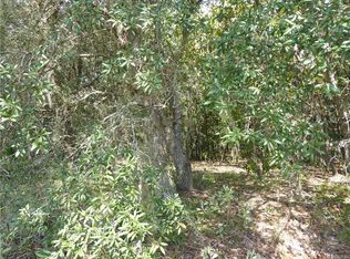 1575 E Monopoly Loop, Inverness, FL 34453