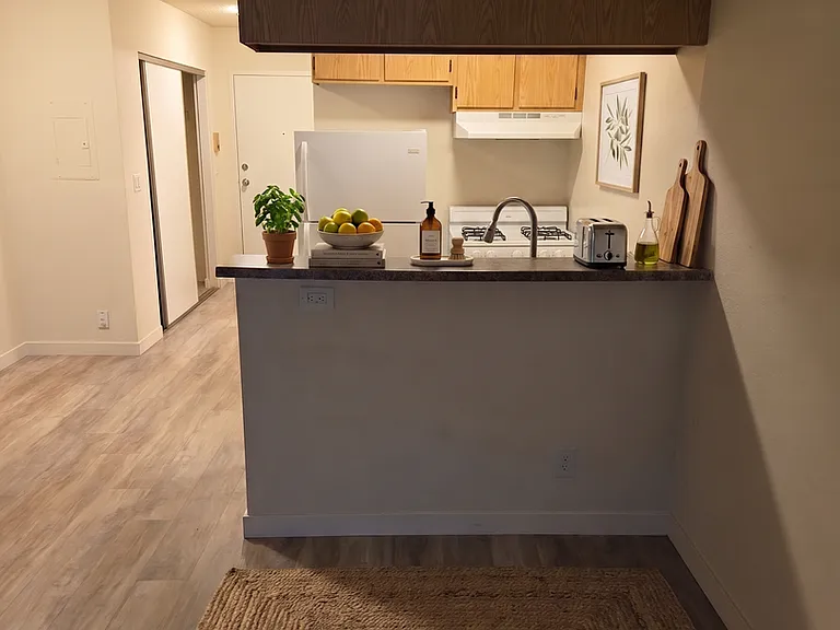 10075 Tujunga Canyon Blvd — Photo 7