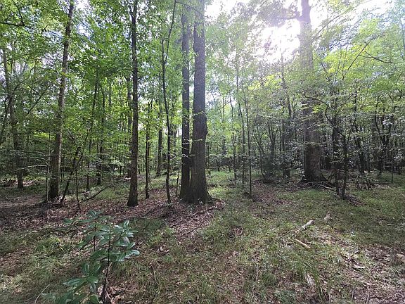 4th image of 713 County Road 243