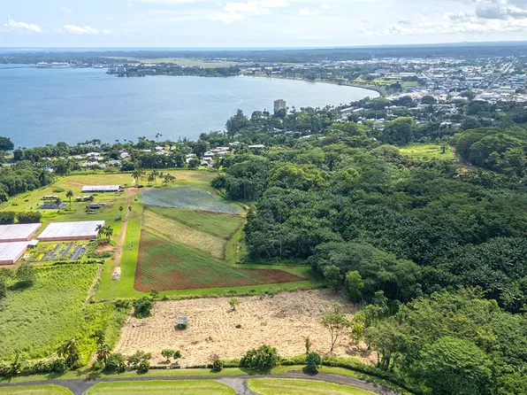 410 Kauhiula Rd Lot 1, Hilo, HI 96720
