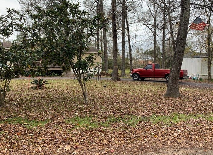 2nd image of 33403 Lois Ln