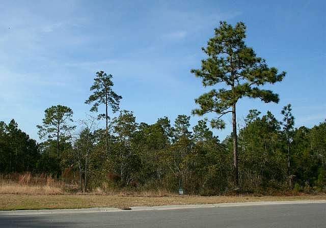 1st image of Lot 10 Society Rd.