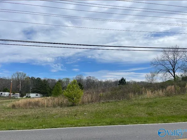 645 Mathis Mill Rd, Albertville, AL 35951