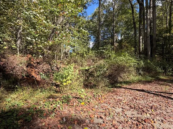 0 Orchard Hill Rd, Beaver, WV 25813