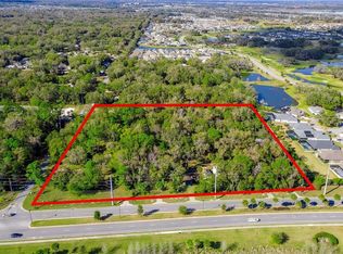 4700 Warm Springs Ave LOT 4, Wildwood, FL 34785