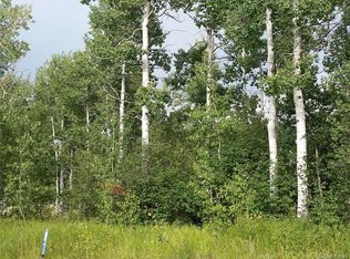 29785 Eddy Ct LOT 11, Oak Creek, CO 80467