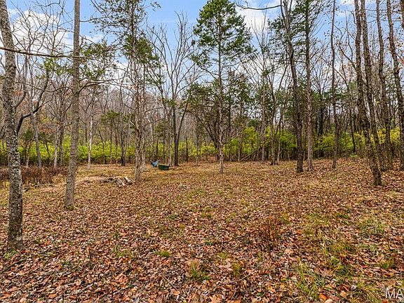 4th image of 3701 Bear Tooth Ln