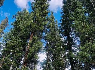 550 Porcupine Rd, Fairplay, CO 80440