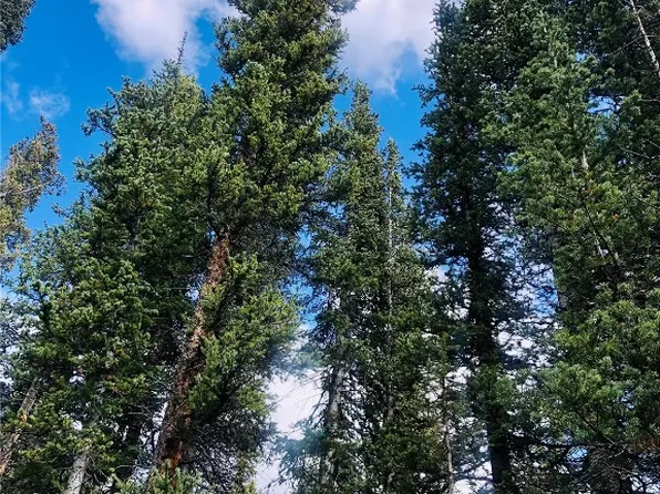 550 Porcupine Rd, Fairplay, CO 80440