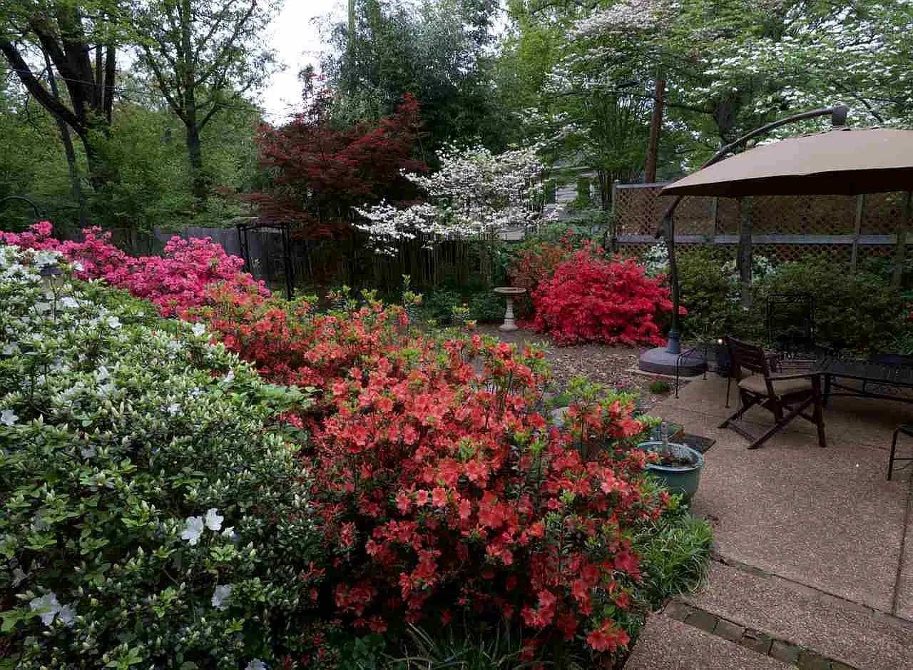 5 bed, 3285 sqft, $2,750 — Photo 2