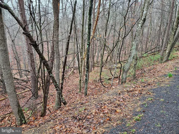 Deloris Rd, Basye, VA 22810