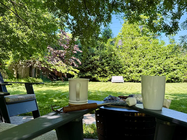 Backyard looking back