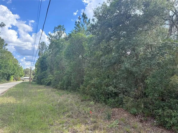 16464 NE 35th Ter, Citra, FL 32113