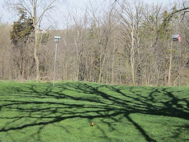 2nd image of 17267 Irish Hill Ln