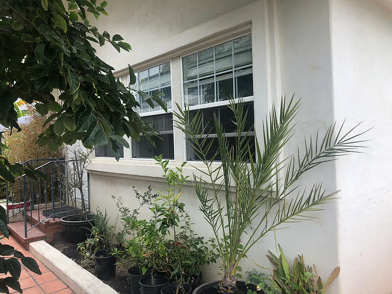 Bedroom windows
