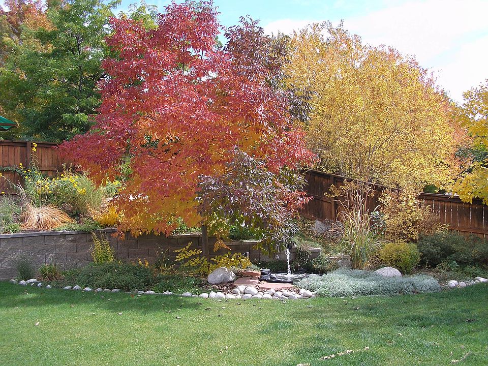 2nd image of 9929 Silver Maple Rd