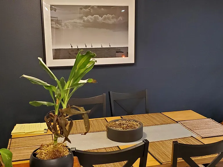 48 Paloma Ave #5 — Photo 35