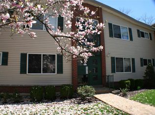 125 E Washington Ave APT 1S, Saint Louis, MO