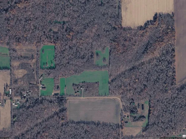 V/l Mauer Rd, Union City, MI 49094