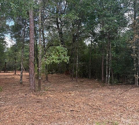5th image of 0 Forest Glen Dr