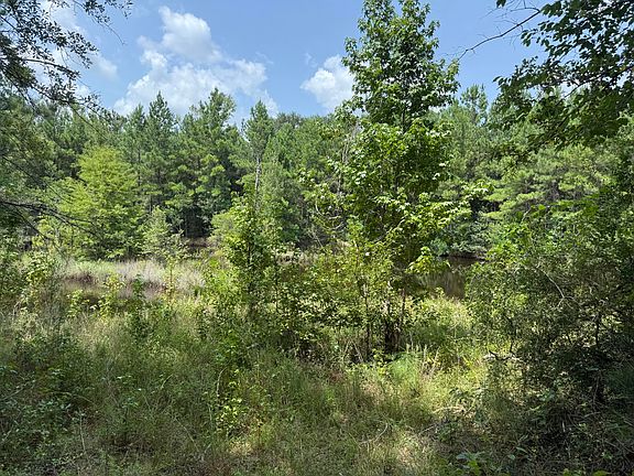 5th image of 971 Bears Rd