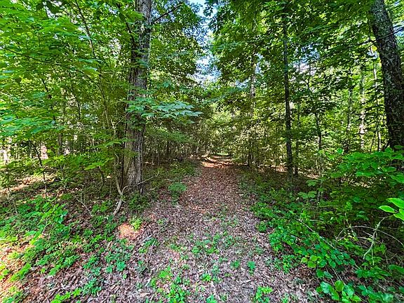 5th image of 8951 County Road 11