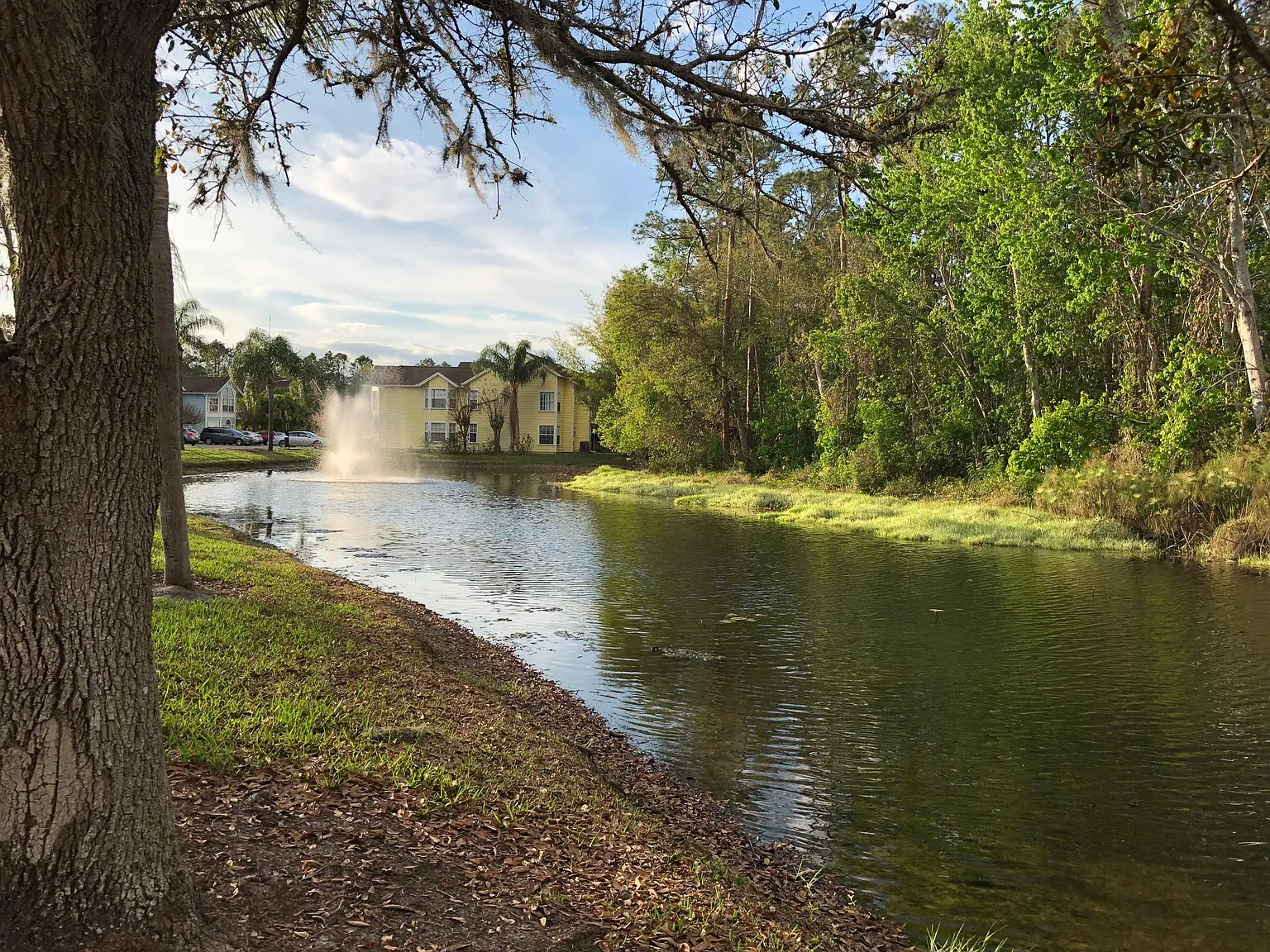 3 bed, 1350 sqft, $1,600 — Photo 3