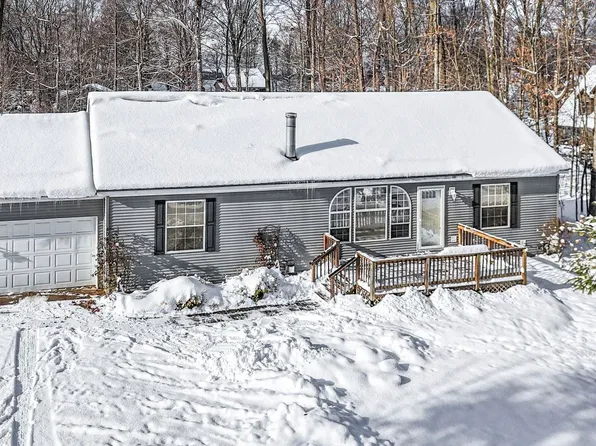 4046 White Birch Dr, Grawn, MI 49637