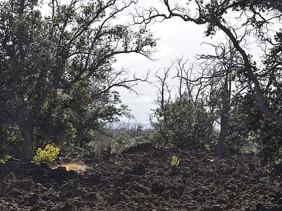 2nd image of Princess Kaiulani Blvd Lot 2