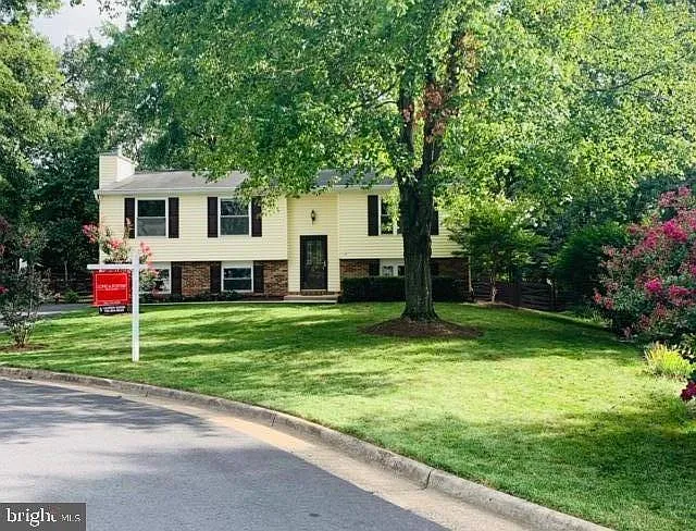 Front yard.