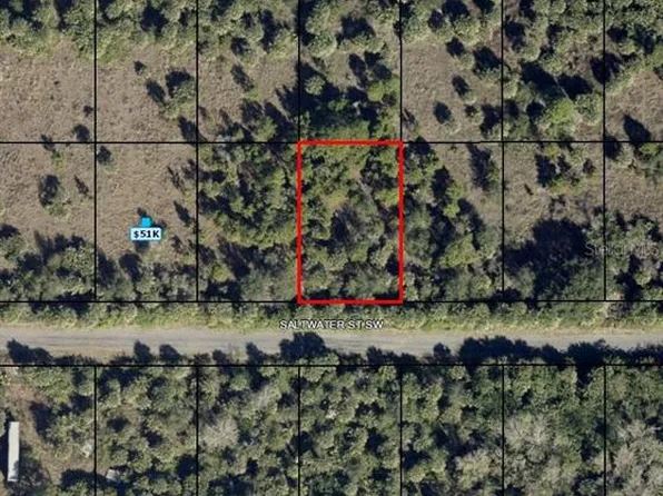 709 SALTWATER STREET SW LOT 20, PALM BAY, FL 32908