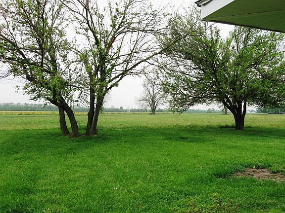 View out back