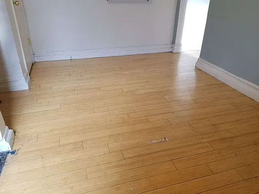 Rented by Dorit Avidar, LREB | media 7