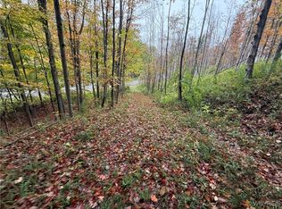 10987 Snyder Rd #5, Springville, NY 14141