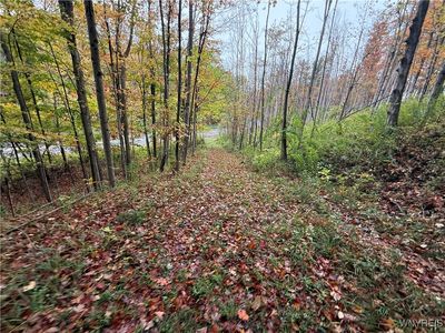 10987 Snyder Rd #5, Springville, NY, 14141