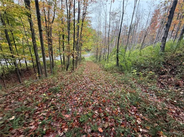 10987 Snyder Rd #5, Springville, NY 14141