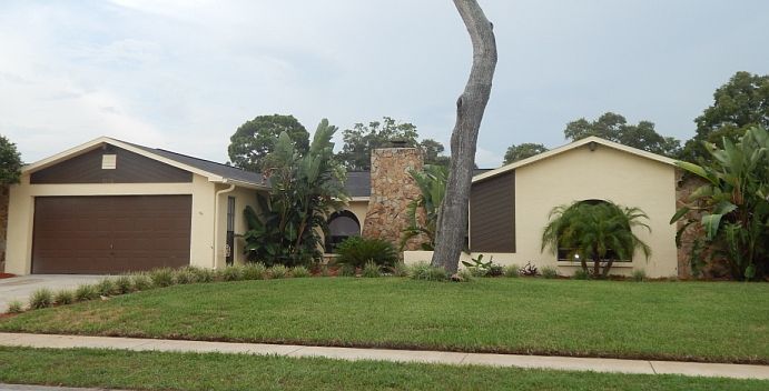 Front View