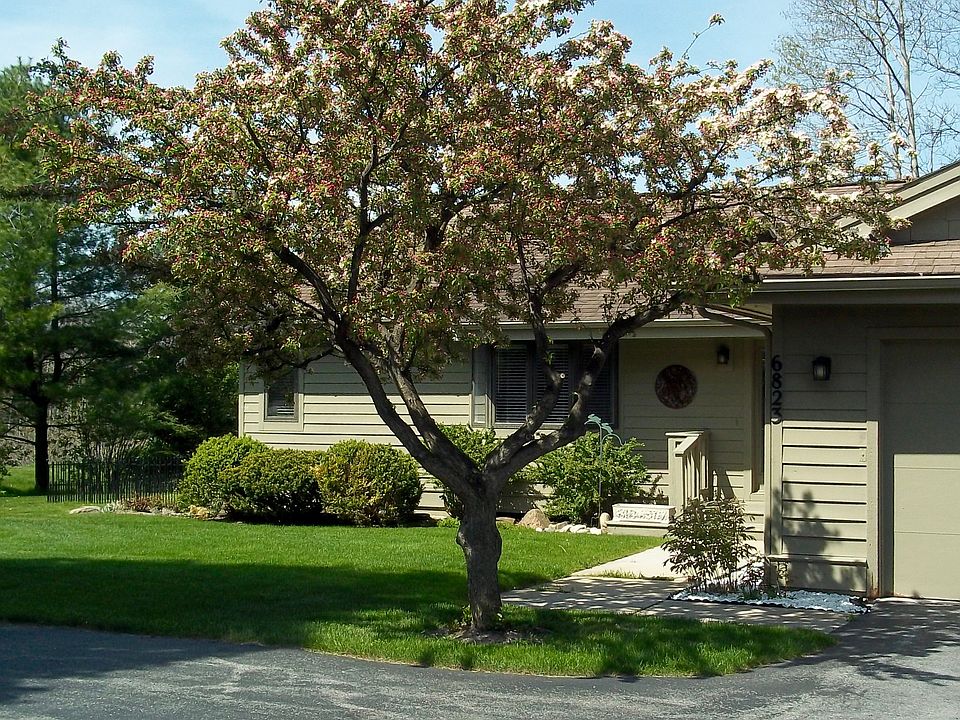 2nd image of 6823 Mathison South Rd