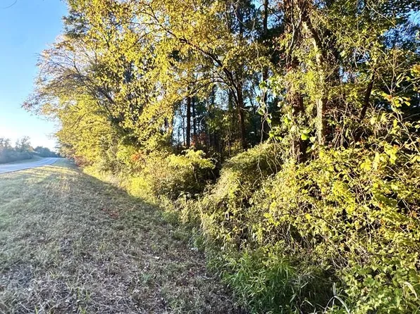 Township Road 4 Hwy #21E, Hemphill, TX 75948