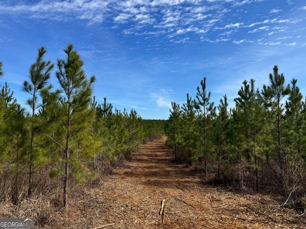 16 Dozier Rd, Ellaville, GA 31806